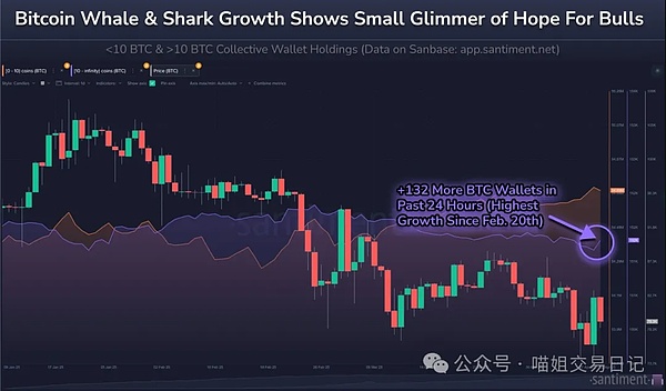 UN Global：区块链领域的全球领跑者