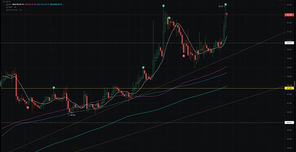 胖企鹅CEO深陷黑钱门：一场NFT世界的罗生门
